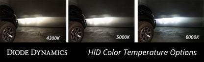 Diode Dynamics DIO Replacement Bulbs