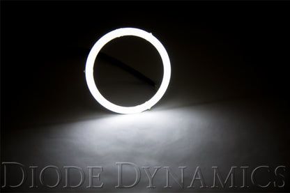Diode Dynamics DIO Halo Ring Bulb
