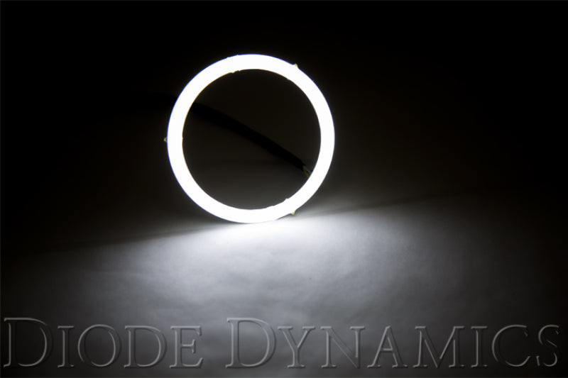 Diode Dynamics DIO Halo Ring Bulb