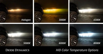 Diode Dynamics DIO Replacement Bulbs by Diode Dynamics