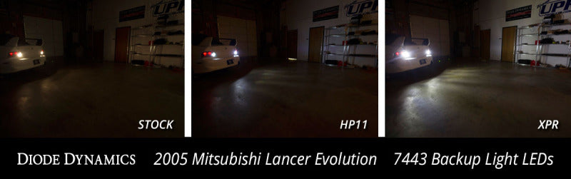 Diode Dynamics DIO Replacement Bulbs
