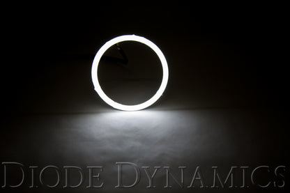 Diode Dynamics DIO Halo Ring Bulb