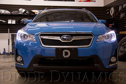 Diode Dynamics DIO Halo Ring Bulb