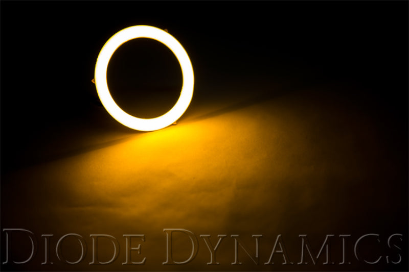 Diode Dynamics DIO Halo Ring Bulb