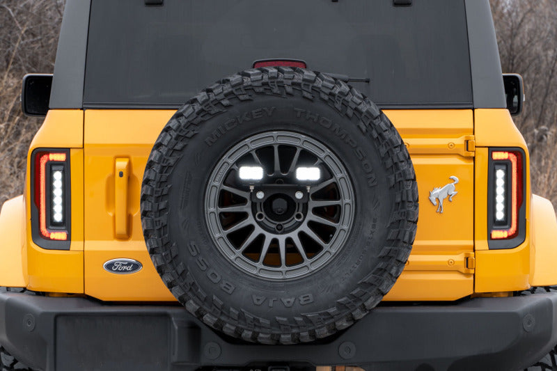 Diode Dynamics DIO Backup Light