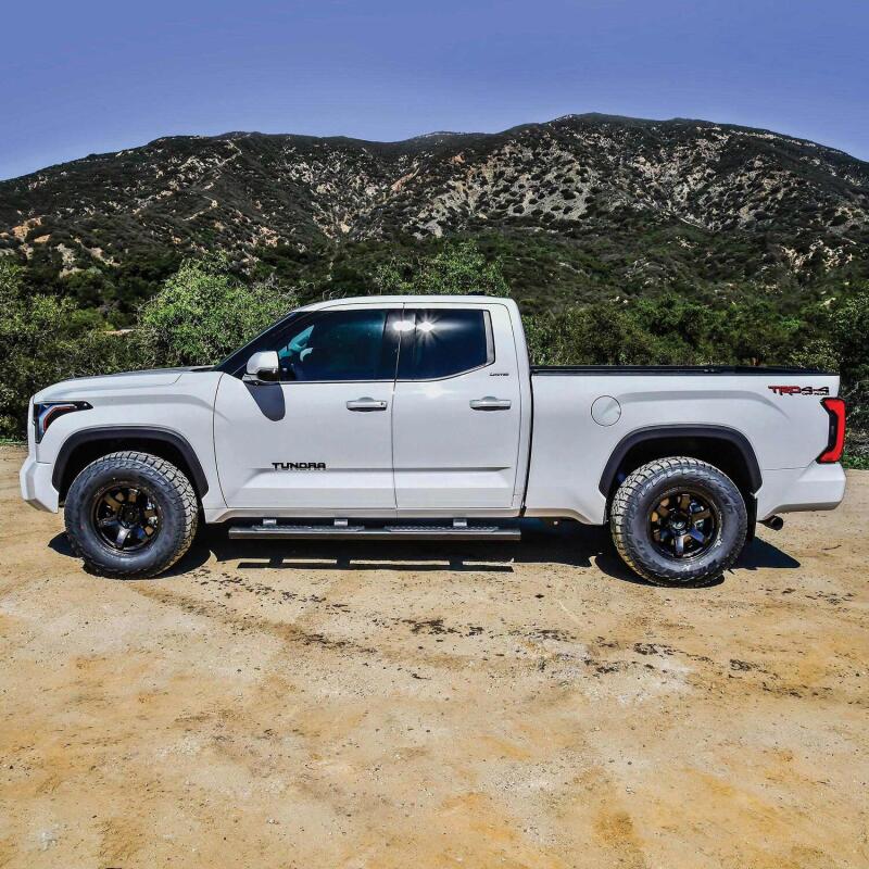 Westin WES Nerf Bars - R5