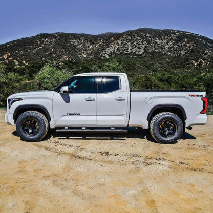 Westin WES Nerf Bars - R5