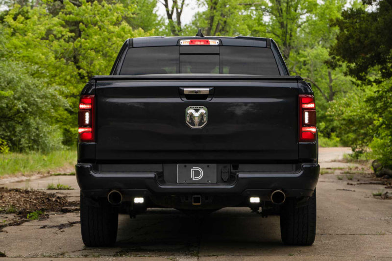 Diode Dynamics DIO Backup Light