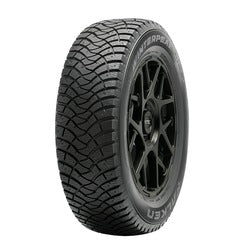 Falken F-ICE