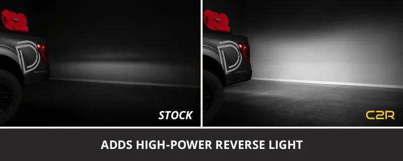 Diode Dynamics DIO Backup Light