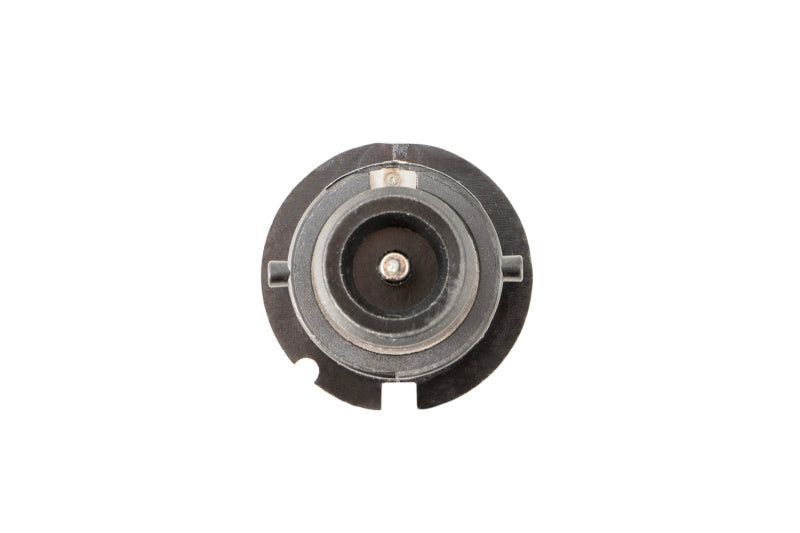 Diode Dynamics DIO Replacement Bulbs