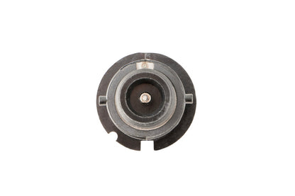 Diode Dynamics DIO Replacement Bulbs by Diode Dynamics