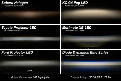 Diode Dynamics DIO Fog Lights by Diode Dynamics
