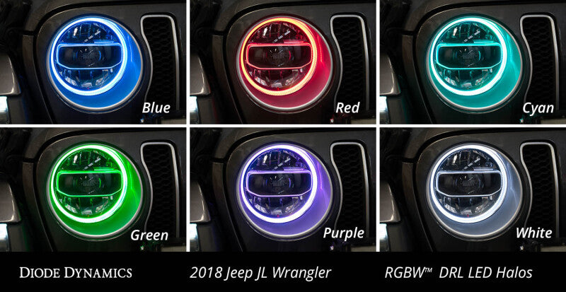 Diode Dynamics DIO Halo Ring Bulb
