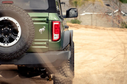 DV8 Offroad Ford Bronco Tube Fender Flares by DV8 Offroad