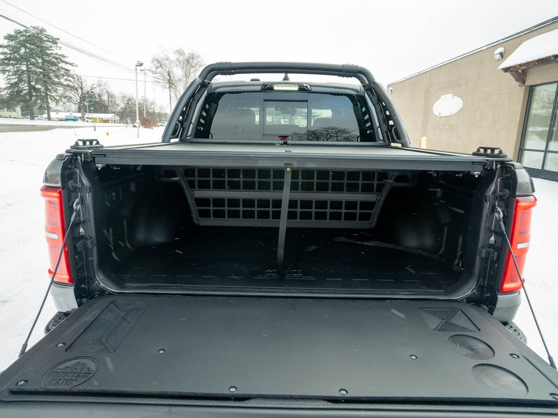 2025 RAM RHO Granite Crystal 640423