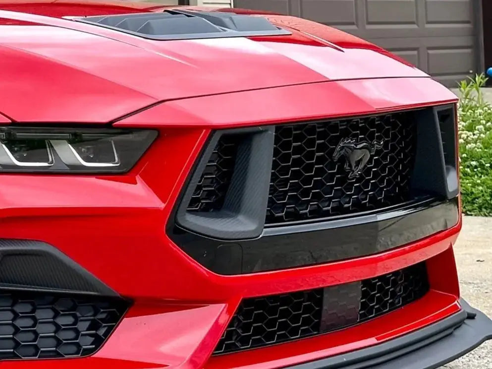 NYTOP 2024-Current Ford Mustang GT Dry Carbon Grille Inserts by NYTOP