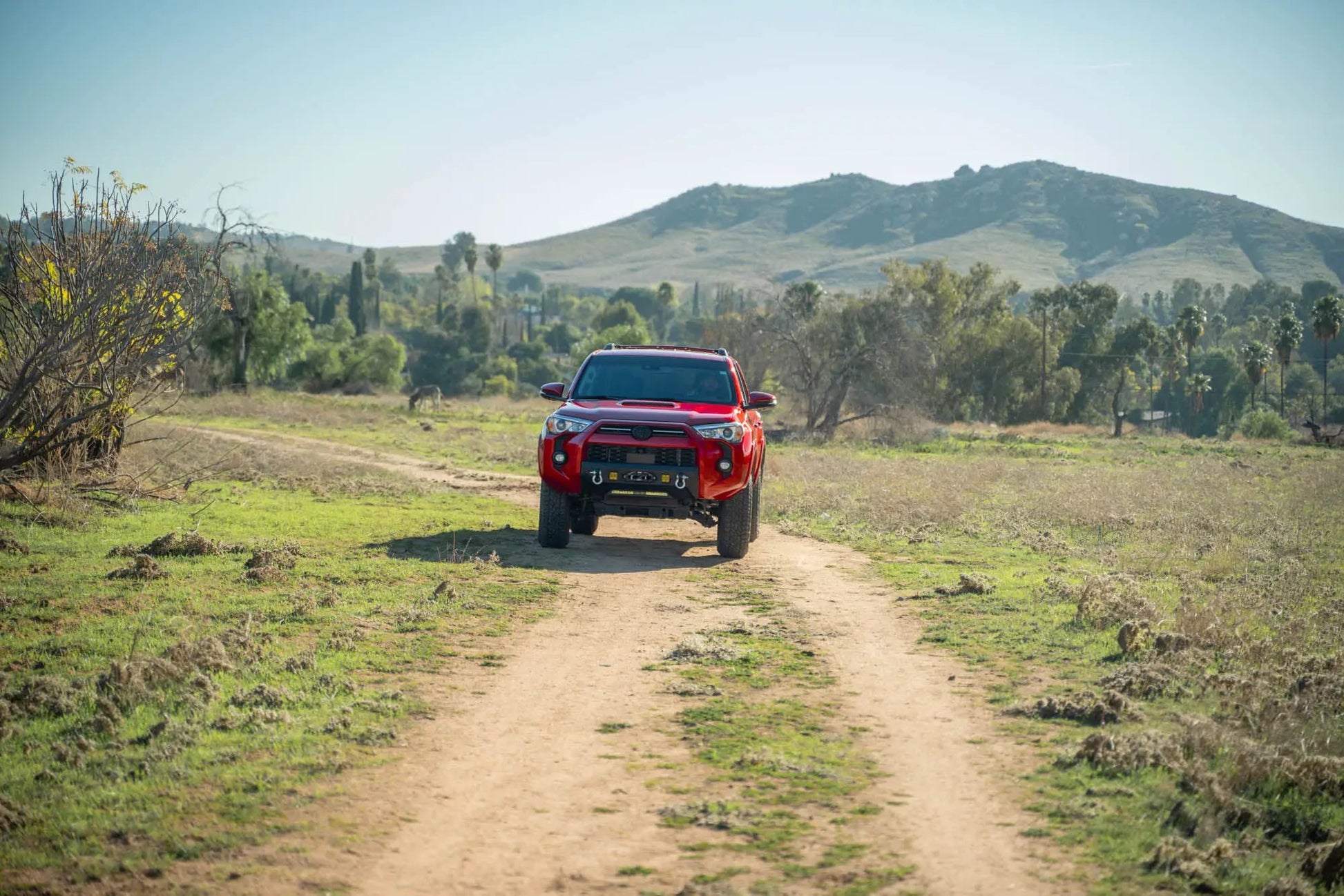 DV8 Offroad 2014-2024 Toyota 4Runner Centric Series Winch Front Bumper by DV8 Offroad