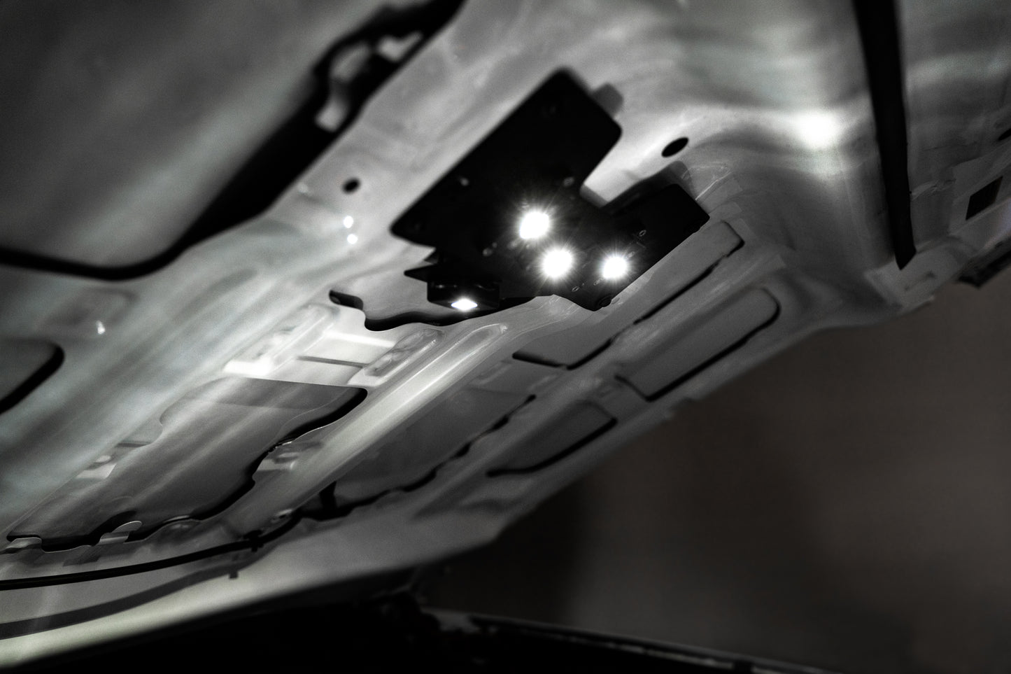 R1619TACHDLT image 3