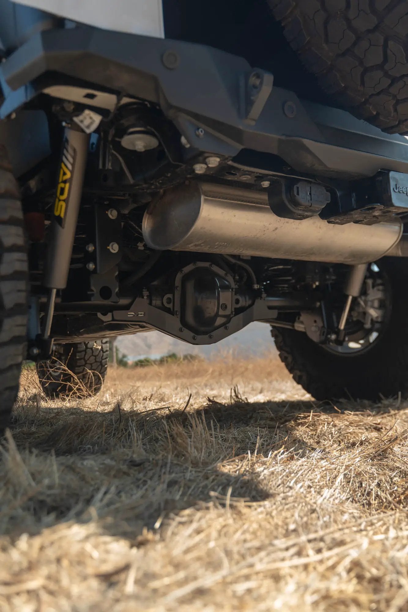 DV8 Offroad Jeep Wrangler & Gladiator Rubicon Rear D44 Differential Skid Plate by DV8 Offroad