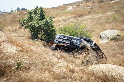 DV8 Offroad Black DV8 Elite Series D-Rings (Pair) by DV8 Offroad
