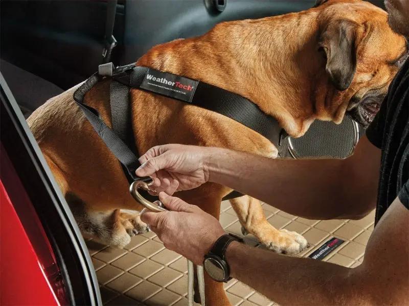 WeatherTech WT Travel Pet Harness by WeatherTech