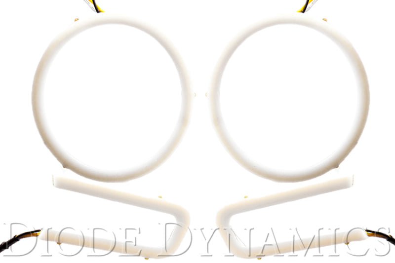 Diode Dynamics DIO Halo Ring Bulb by Diode Dynamics