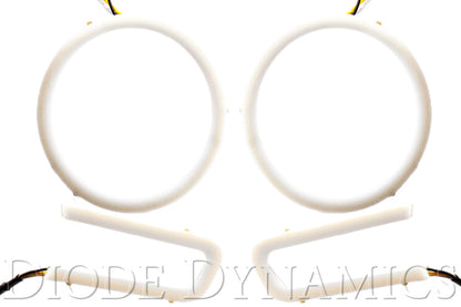 Diode Dynamics DIO Halo Ring Bulb by Diode Dynamics