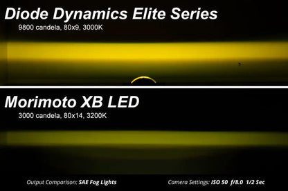 Diode Dynamics DIO Fog Lights by Diode Dynamics