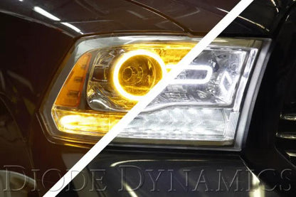 Diode Dynamics DIO Halo Ring Bulb by Diode Dynamics