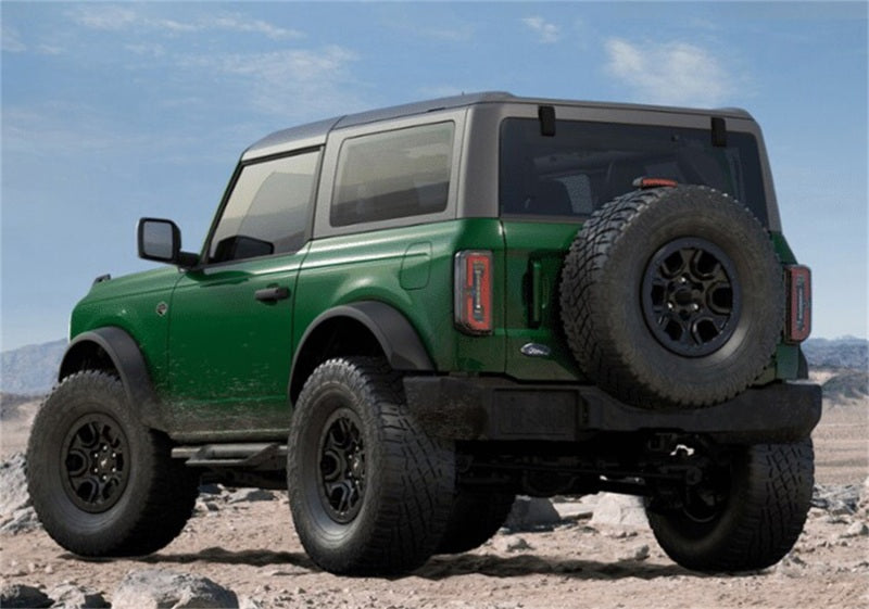 Ford Racing FR Side Steps by Ford Racing