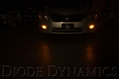 Diode Dynamics DIO Replacement Bulbs