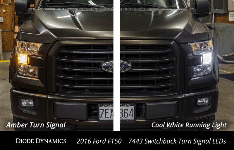 Diode Dynamics DIO Replacement Bulbs