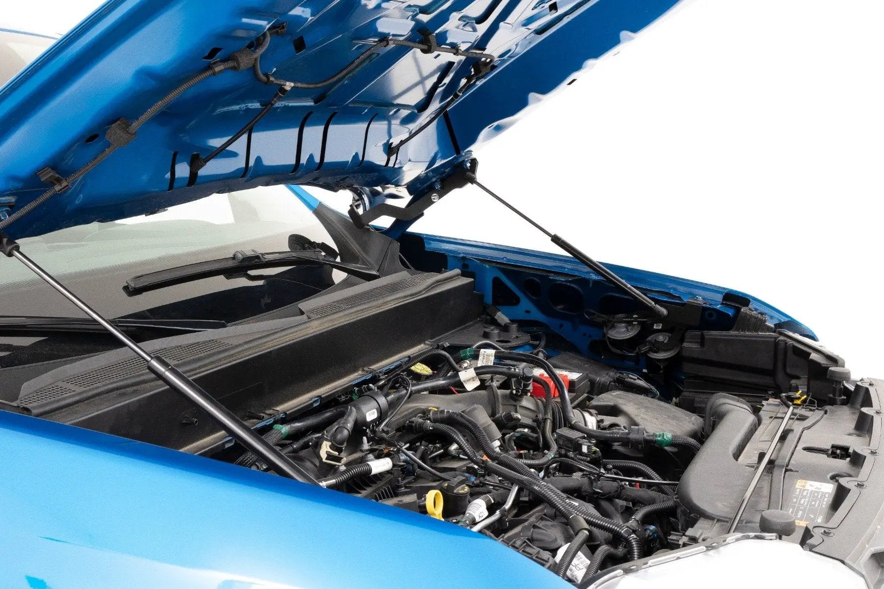 Rough Country Hood Struts | Hydraulic | Ford Maverick 2WD/4WD (2022-2026) by Rough Country