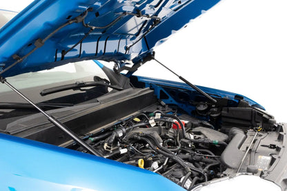 Rough Country Hood Struts | Hydraulic | Ford Maverick 2WD/4WD (2022-2026) by Rough Country