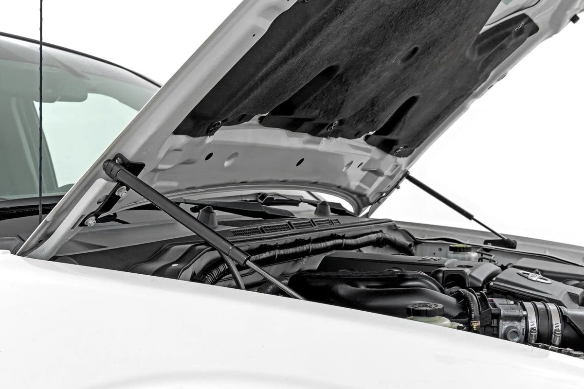 Rough Country Hood Struts | Hydraulic | Nissan Frontier 2WD/4WD (2005-2021) by Rough Country