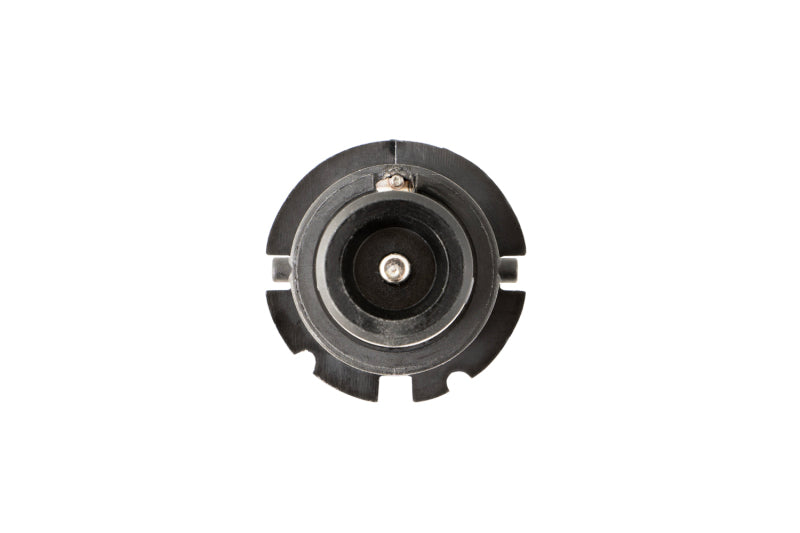 Diode Dynamics DIO Replacement Bulbs