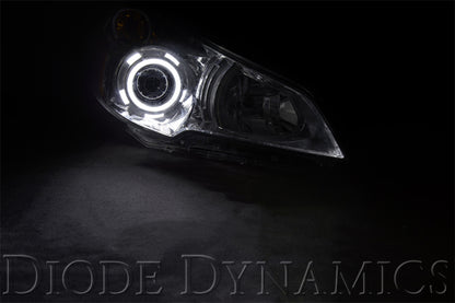 Diode Dynamics DIO Halo Ring Bulb