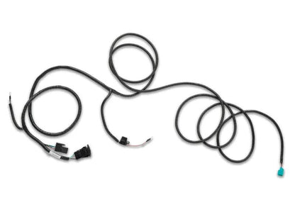Ford Racing FR Harnesses by Ford Racing