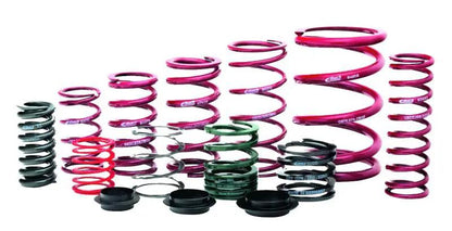 Eibach EIB ERS Springs