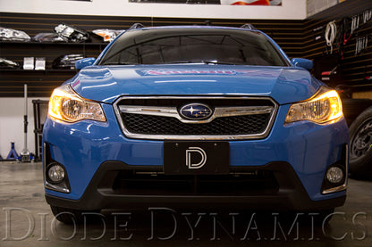 Diode Dynamics DIO Halo Ring Bulb