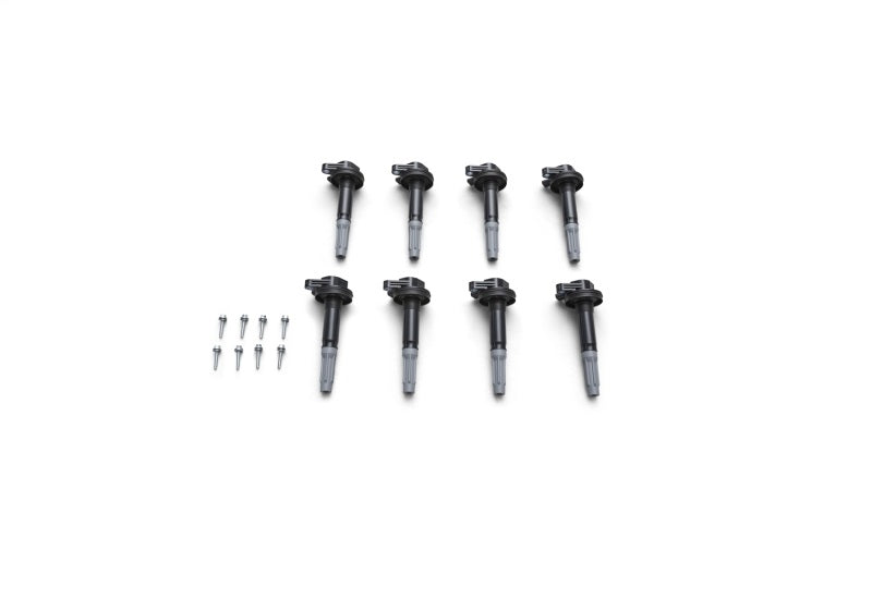 Ford Racing FR Block Plugs by Ford Racing