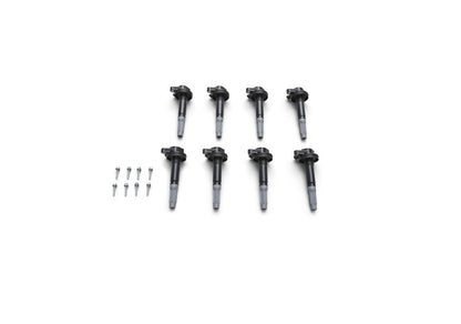 Ford Racing FR Block Plugs by Ford Racing