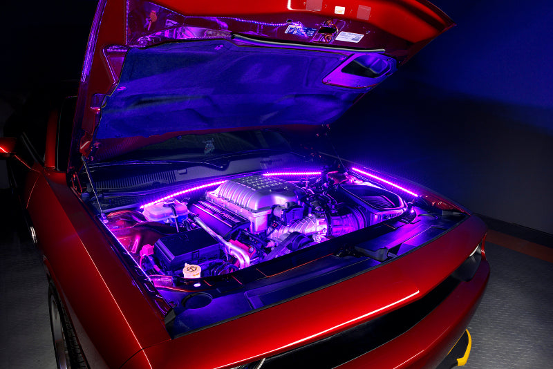 ORACLE Lighting ORL Engine Bay Light Kits by ORACLE Lighting
