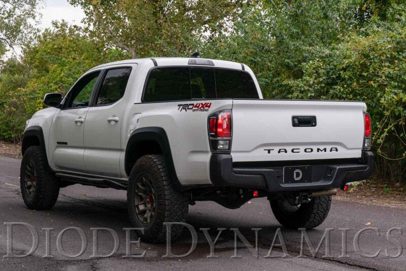 Diode Dynamics DIO Backup Light