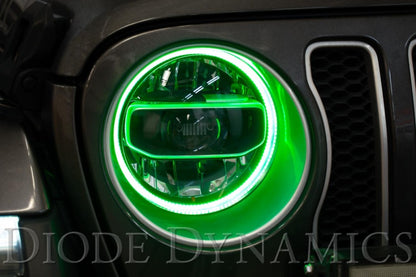 Diode Dynamics DIO Halo Ring Bulb