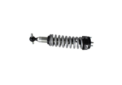 Ford Racing FR Shocks by Ford Racing