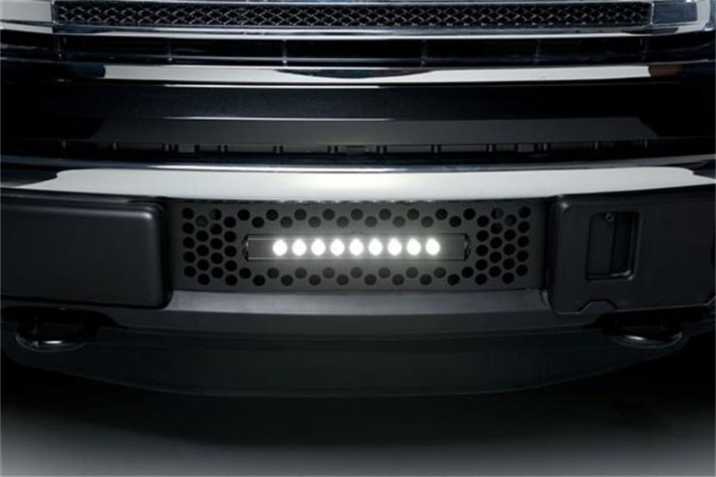 Putco PUT Bumper Grille Inserts by Putco