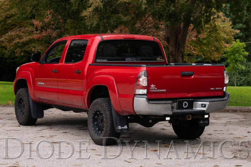 Diode Dynamics DIO Backup Light