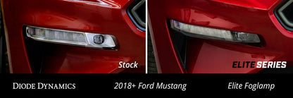 Diode Dynamics DIO Fog Lights
